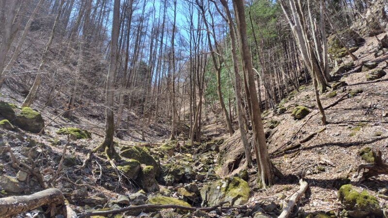 滝ノ沢から金比羅山(上野村)