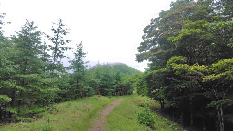 鷹ノ巣山