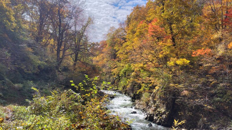 清津峡遊歩道（トレッキング湯沢１）