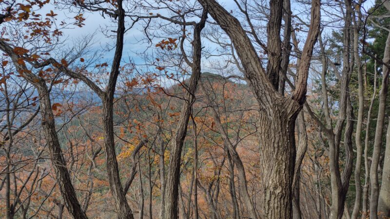 大鳥屋山と岳ノ山