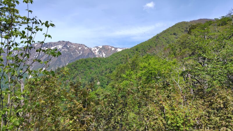奥之院古道から天神山