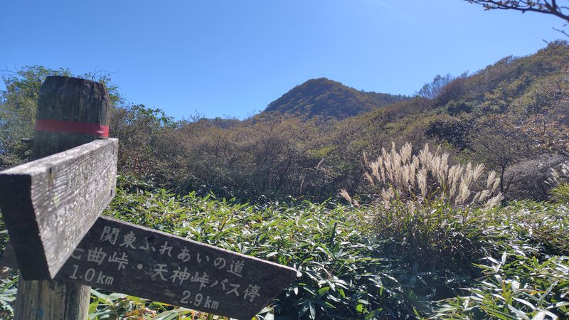 三ツ峰山(榛名山)